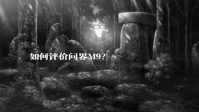 如何评价问界M9？