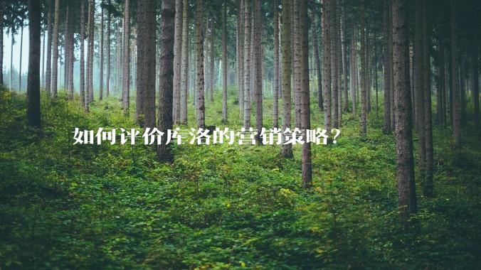 如何评价库洛的营销策略？