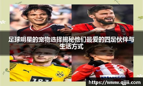 足球明星的宠物选择揭秘他们最爱的四足伙伴与生活方式